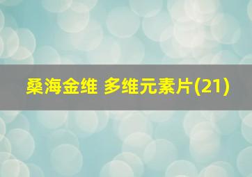 桑海金维 多维元素片(21)